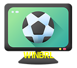  WINBRL