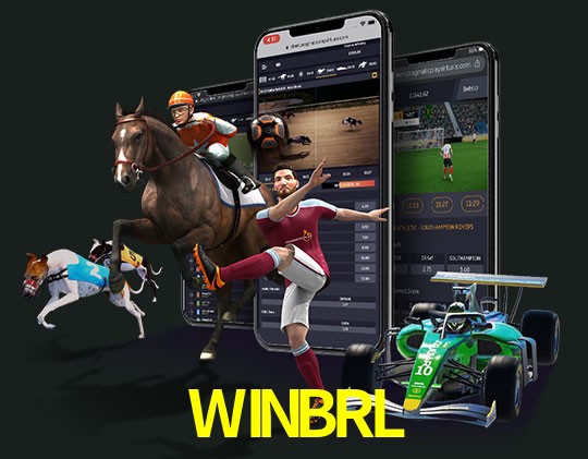  WINBRL